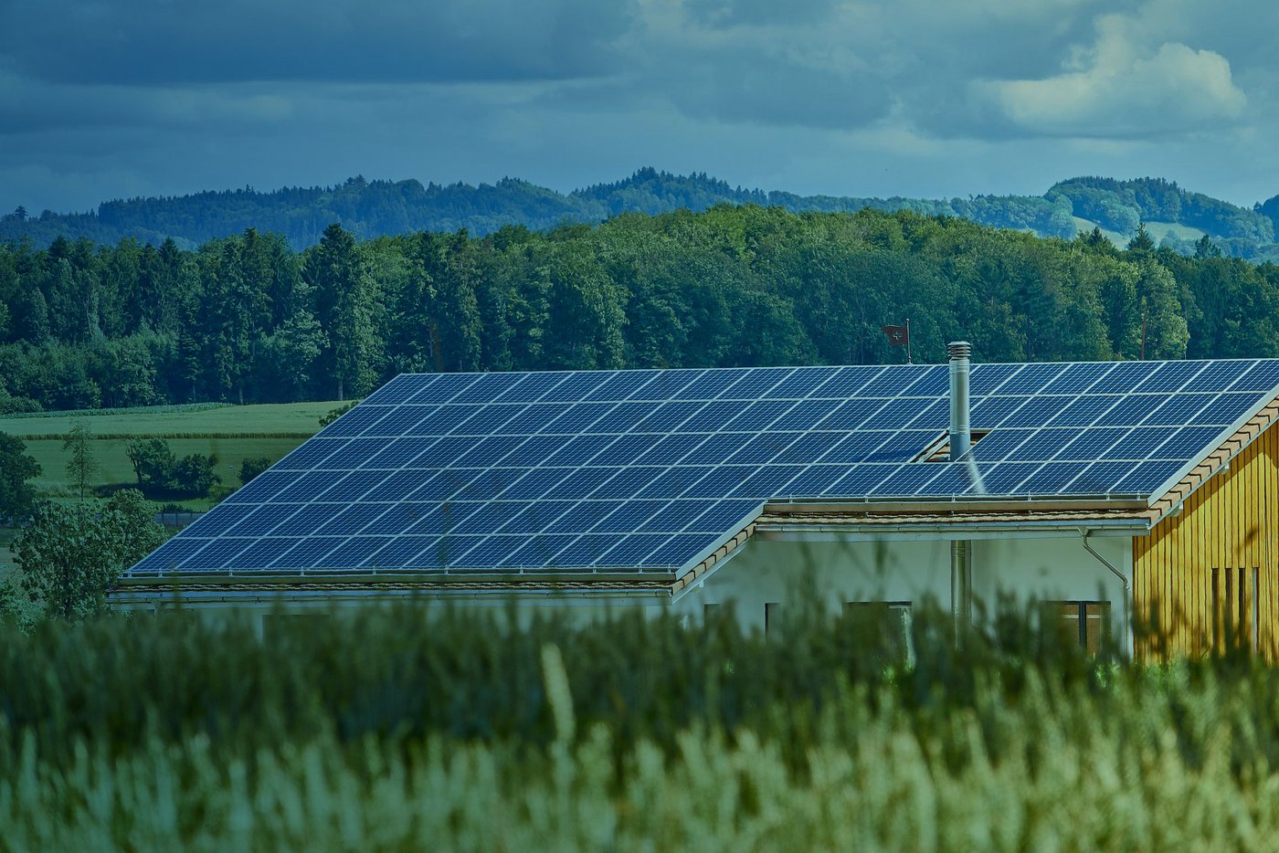 Ein Stall mit Photovoltaikanlage auf dem Dach, inmitten einer Naturlandschaft mit einem Wald dahinter. Über das Bild ist ein blauer Filter gelegt.